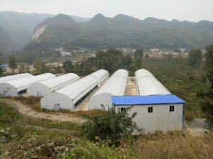 貴州大棚建設