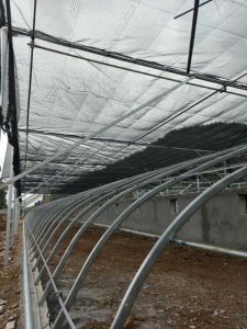 貴州大棚建設