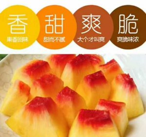 黃桃