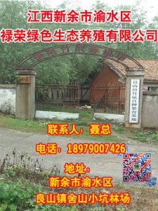 新余市渝水區祿榮綠色生態養殖有限公司